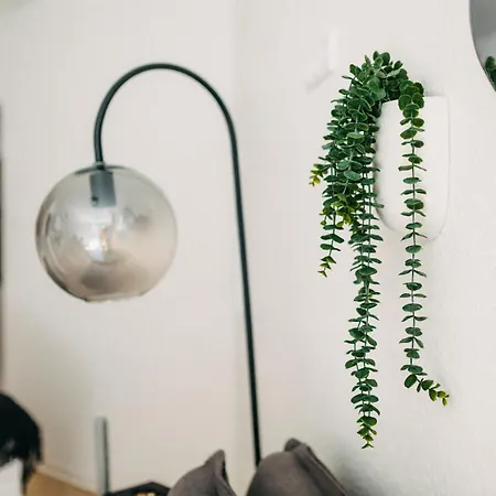Boutique-style Studioapartments Apartment